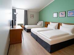 Zimmerbild 6