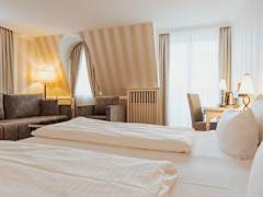 Zimmerbild 3