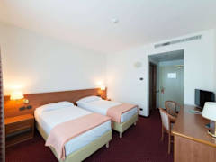 Zimmerbild 14