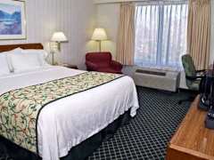 Zimmerbild 12