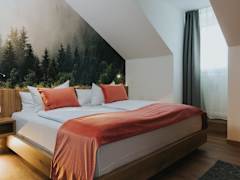 Zimmerbild 2