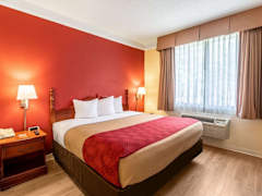 Zimmerbild 9