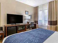 Zimmerbild 11