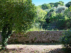 Zimmerbild 8