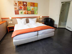 Zimmerbild 13