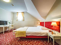 Zimmerbild 17