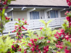 Zimmerbild 6