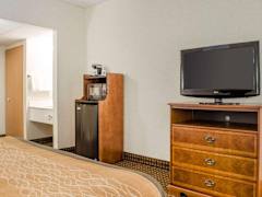 Zimmerbild 8
