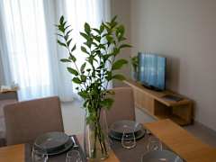 Zimmerbild 8