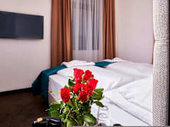 Zimmerbild 10