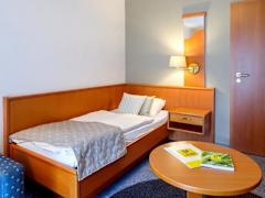 Zimmerbild 1