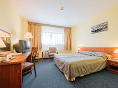 Zimmerbild 8