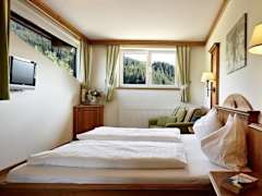 Zimmerbild 9