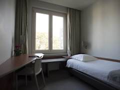 Zimmerbild 8
