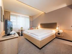 Zimmerbild 5