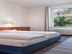 Zimmerbild 12