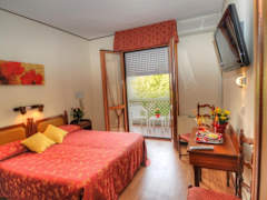 Zimmerbild 8