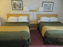 Zimmerbild 6
