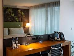 Zimmerbild 4