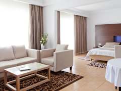 Zimmerbild 8