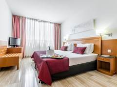 Zimmerbild 8