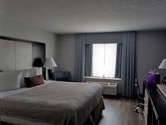 Zimmerbild 8