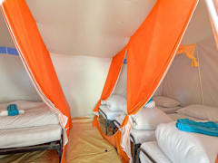 Zimmerbild 15
