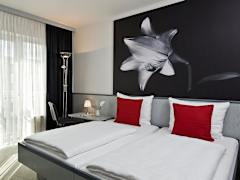Zimmerbild 6