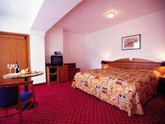 Zimmerbild 6