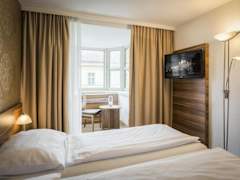 Zimmerbild 10