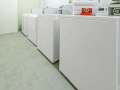 Zimmerbild 3