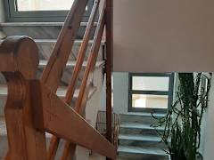 Zimmerbild 5