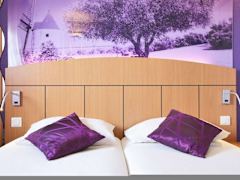 Zimmerbild 8