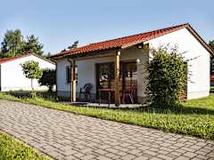 Zimmerbild 6