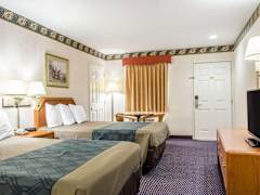 Zimmerbild 13
