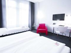 Zimmerbild 8
