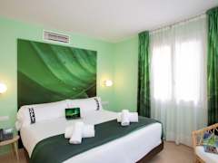 Zimmerbild 11