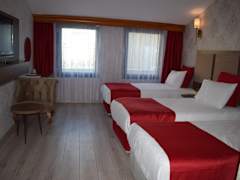 Zimmerbild 9