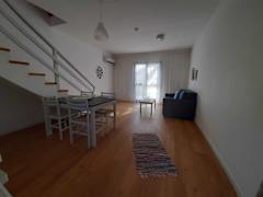 Zimmerbild 3