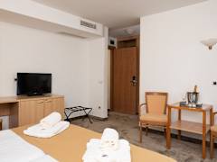 Zimmerbild 6