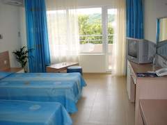 Zimmerbild 5
