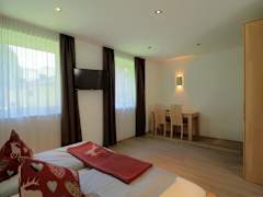 Zimmerbild 11