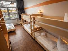 Zimmerbild 8