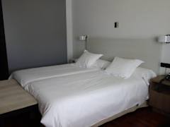 Zimmerbild 8