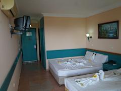Zimmerbild 8
