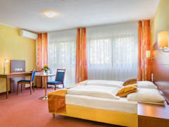 Zimmerbild 8
