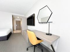 Zimmerbild 5