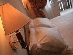 Zimmerbild 8