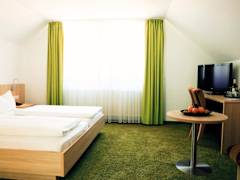 Zimmerbild 12