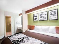 Zimmerbild 5